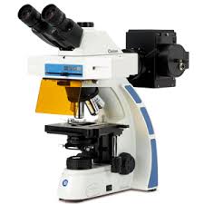 SIMENAR: Kính hiển vi huỳnh quang hiện đại và kỹ thuật xử lý ảnh ứng dụng trong sinh học